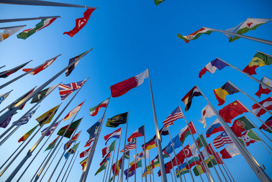 A Fun & Engaging Way to Learn a Foreign Language