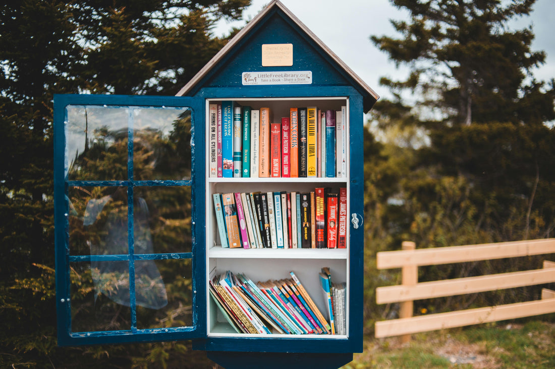 From Little Free Libraries to Friendship Stations: 16 Ways to Spark Friendship All Season Long