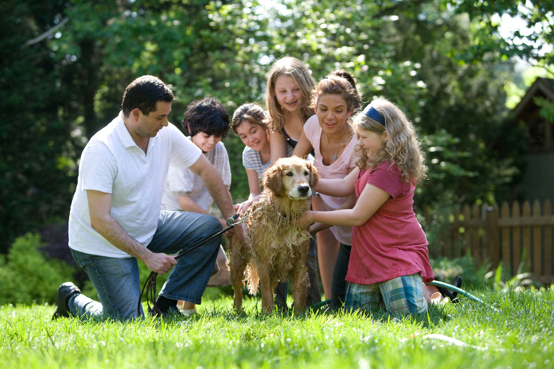 Happy foster family - Photo by CDC on Unsplash