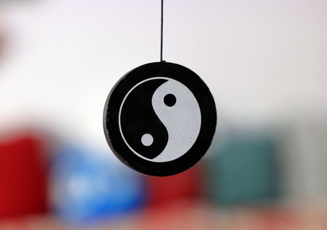 Yin & Yang: Why Opposites Make the Best Friends