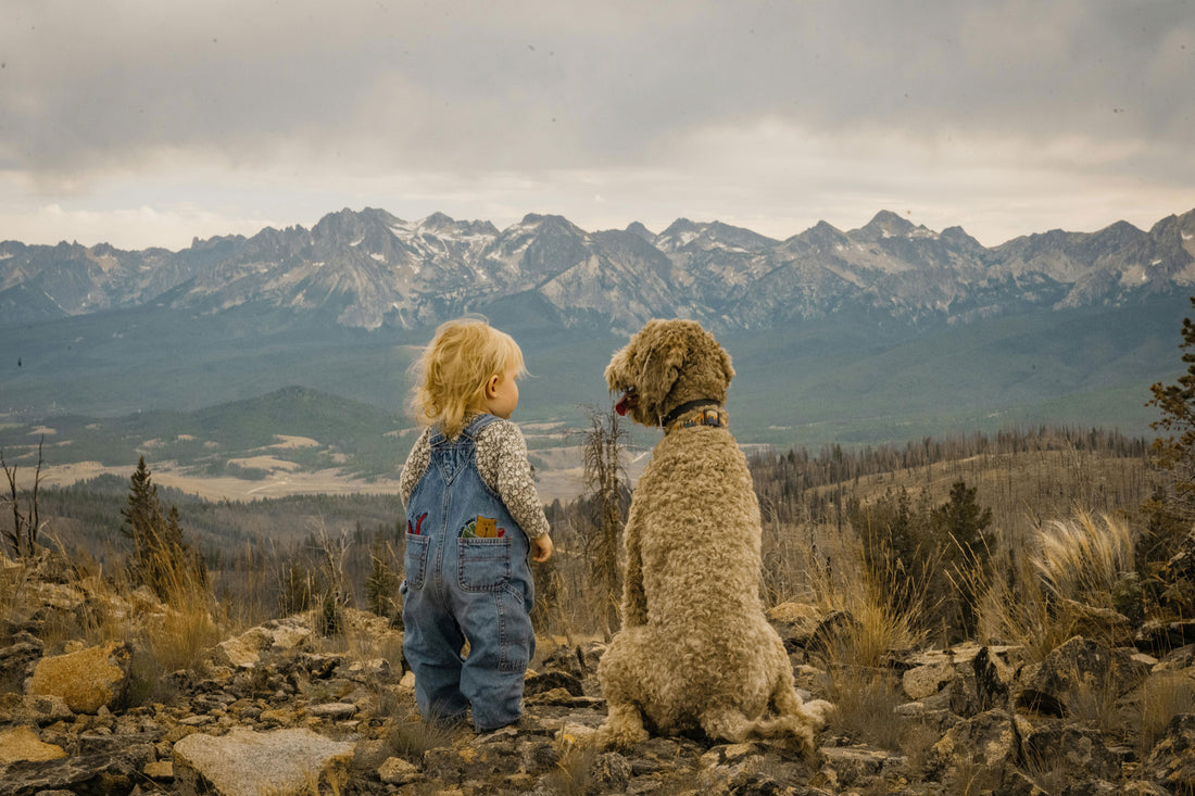 Human Friendship True Stories of Unlikely Animal and Human Friendships – Life Is Better ...
